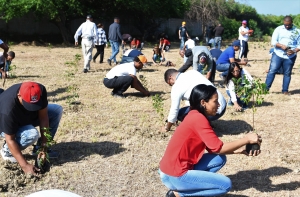 CORAASAN y juntas de vecinos siembran &aacute;rboles en Cienfuegos