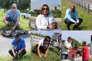 Coraasan, Medio Ambiente y Codia realizan jornada de siembra en zona este de Santiago