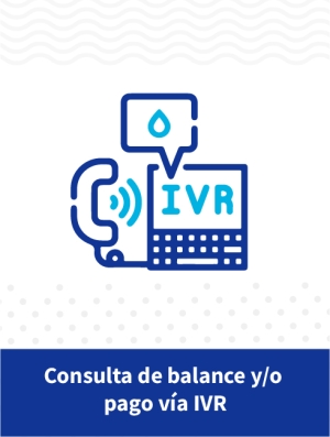Consulta balance y/o pago v&iacute;a IVR