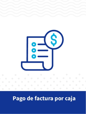 Pago de Factura por Caja