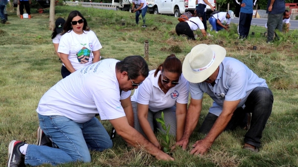 Coraasan y Medio Ambiente realizan jornada de siembra en la zona norte de Santiago