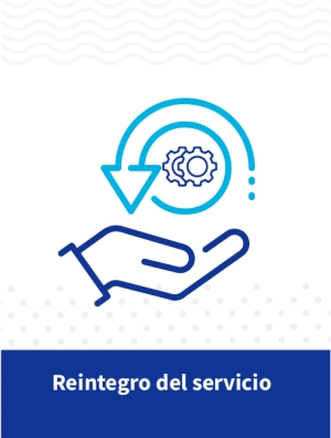 Reintegro del servicio