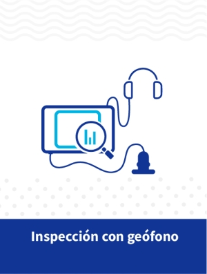 Inspecci&oacute;n con Ge&oacute;fono